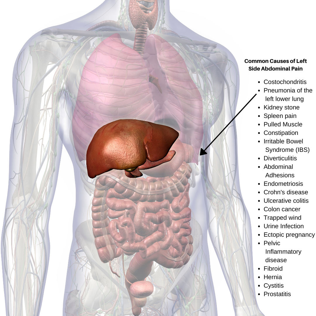 Stomach Pain Left Side Abdomen Images And Photos Finder